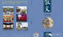 有关流年的散文