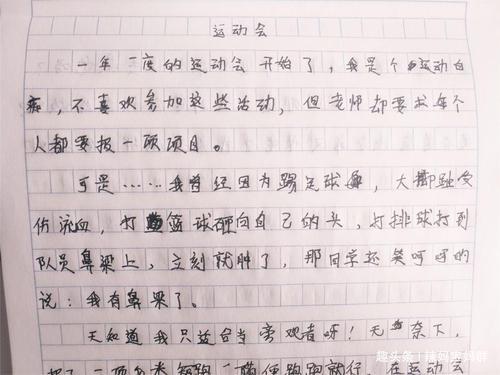 多彩的活动作文500字运动会