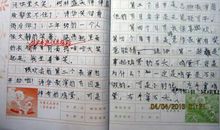 有关野炊的作文550字