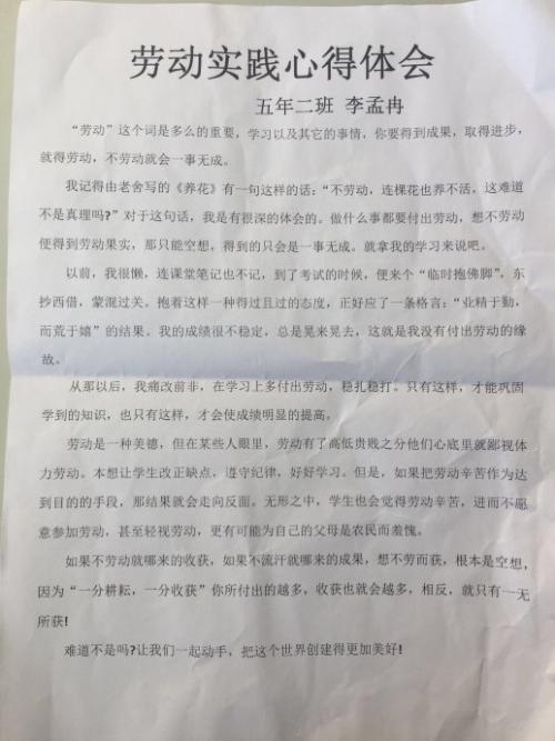 实践劳动心得体会范文