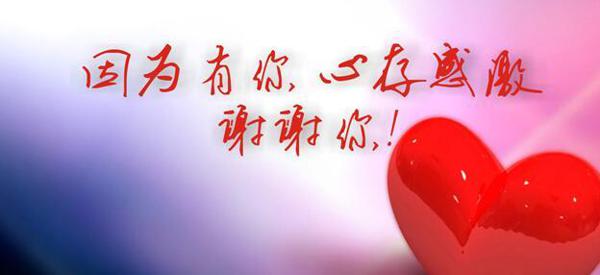 你是我最感激的人作文600字
