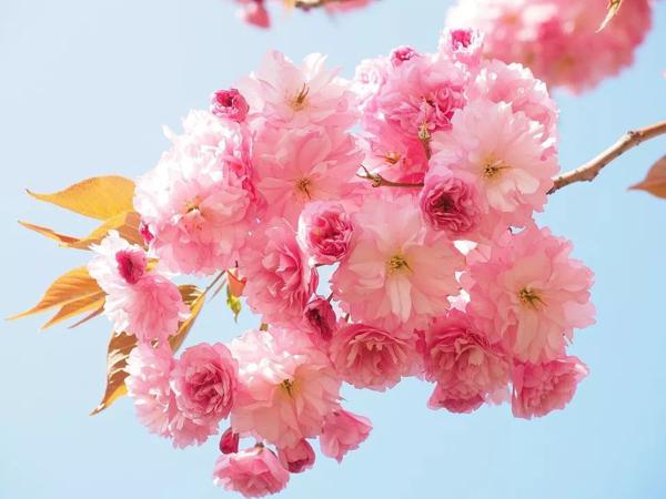 拿“春夏秋冬”写篇作文！ 7