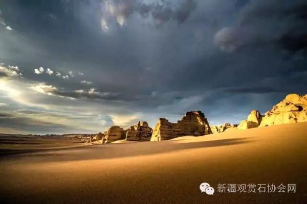 石界金奖作文 奇石与你为我知己 7
