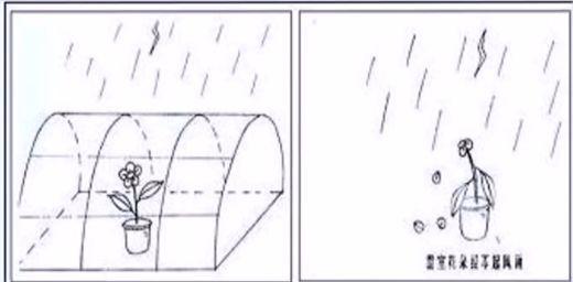 搞定考研英语绘画作文，总分几步？