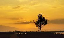 每日优秀作文4：我在黄昏看太阳