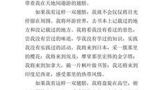 梦的翅膀初中作文