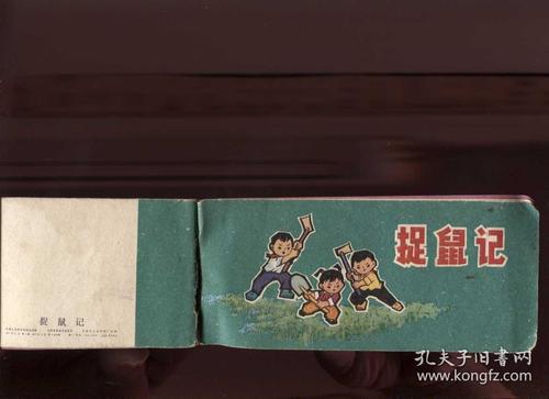 捉鼠记记叙文