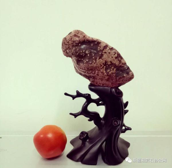 石界金奖作文 奇石与你为我知己 1