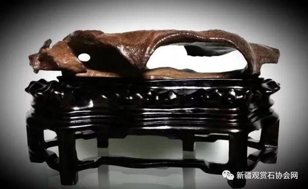 石界金奖作文 奇石与你为我知己