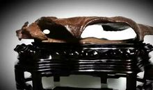 石界金奖作文 奇石与你为我知己