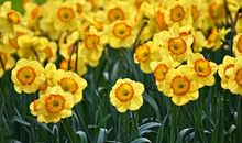 拿“春夏秋冬”写篇作文！