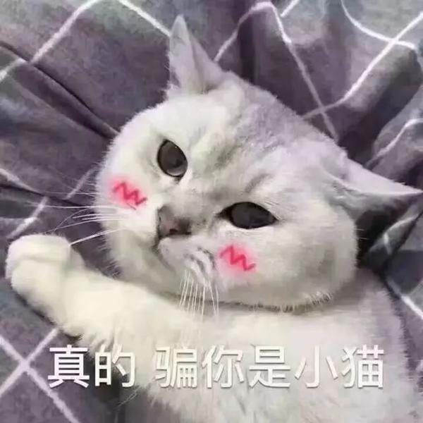 总结规律！新托福作文这类真题考的最多！ 6