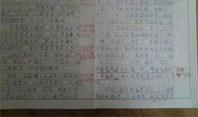 多彩的活动六年级作文800字