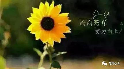 【昆仑侠】老了，很好-《变老，也是人生一种风景》读后感 3