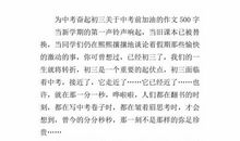 为中考奋起650字作文