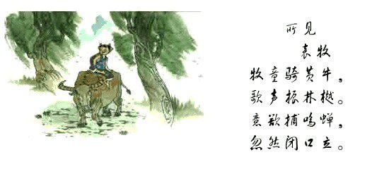 所见教学片断及反思