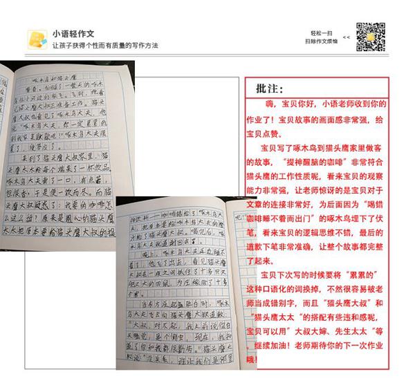 搞定作文-《啄木鸟和猫头鹰》 4