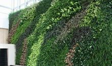 绿色植物在园林中的运用思索论文