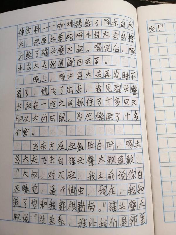 搞定作文-《啄木鸟和猫头鹰》 3