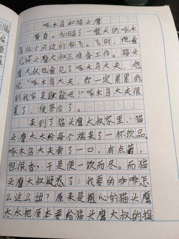 搞定作文-《啄木鸟和猫头鹰》 2