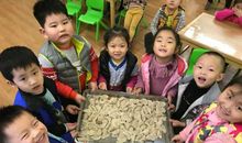 冬至校园亲子活动方案