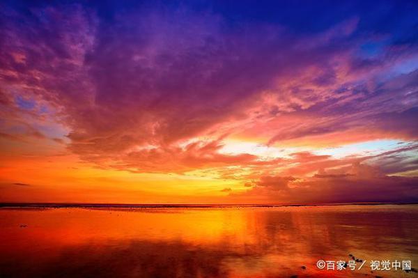 写景作文,五年级上册七单元同步作文写作指导,附范文 1