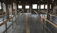 优秀叙事作文：温暖