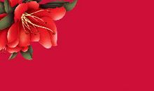 描写洞房的一首唐诗，但却醉翁之意不在酒，读后感到高明之极！