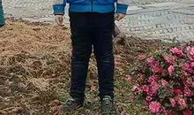 原创作文| 《我那卖鱼的父母》作者：宋志诚/主播：小青