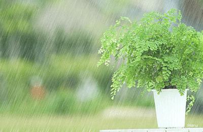 【作文妙妙屋】作文要避免“五错” 4