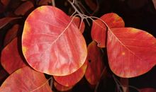 部编版九年级作文审题，只要突破首号关键词，你就会豁然开朗