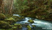 高一作文：那眼神让我感动