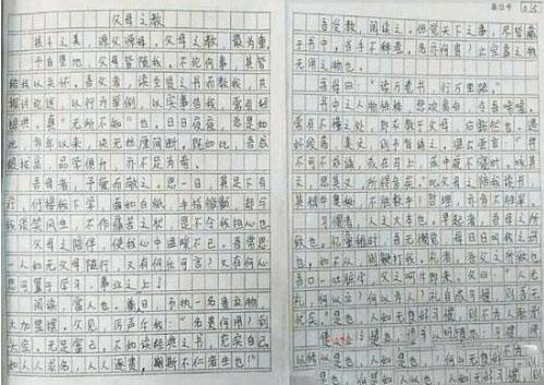 豫之秀作文750字