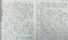 豫之秀作文750字