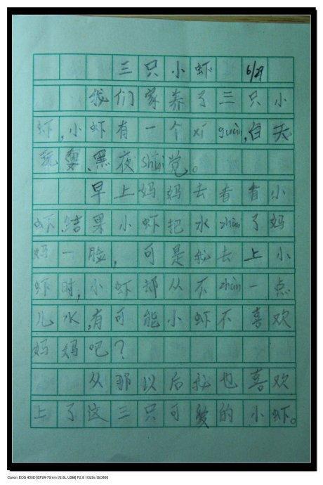 捕虾作文650字