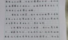 上海市政协委员感叹“中学生作文都是套路”，建议读写结合