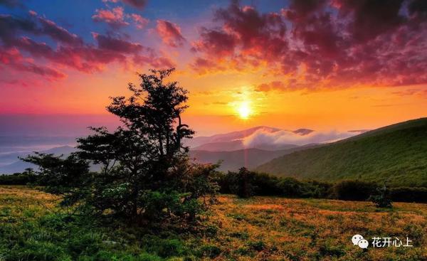 【昆仑侠】老了，很好-《变老，也是人生一种风景》读后感