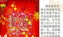 春节到来 我期盼的春节作文300字