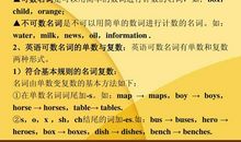 高考模拟材料作文“单数与复数”优秀作文