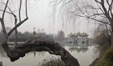 框架式快乐习作教学公益性直播课堂——《如何写读后感》第1讲