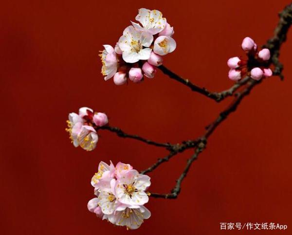 高考作文58分,学霸说全靠这3本书,高中生都要看!(必收藏) 4