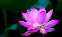 吴刚作文|田袁宁 有温度的礼物 长春市明德小学