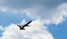 高中生优秀作文：我不信奉上帝