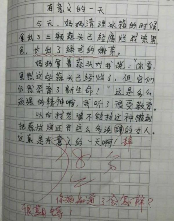 熊孩子的作文“实话实说”,妈妈被嫌弃,老师:你妈知道了会怎样 4