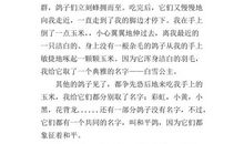 鸽子还能飞多久 高一作文3000字