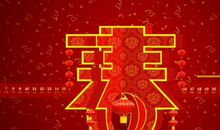 佳节 春节随笔作文900字