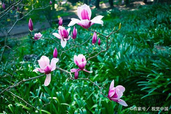 初中生优秀作文:找寻一份静