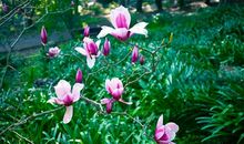 初中生优秀作文：找寻一份静