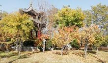 三年级五单元作文：我们眼中的缤纷世界，秋天的颜色，真多彩