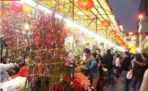 郁金｜深圳，我来了——《街巷志》读后感 2